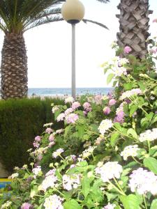 A garden outside Apartament del Mar