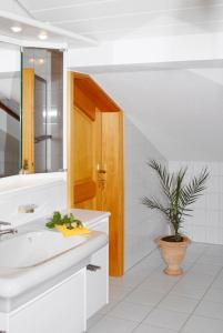 La salle de bains est pourvue d'un lavabo et d'une plante en pot. dans l'établissement Ferienwohnungen Franziska Hackl, à Bad Birnbach