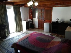 1 dormitorio con 1 cama grande y cocina en Confortable y privado estudio en zona exclusiva ., en San José