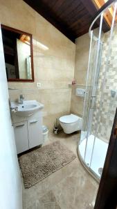 a bathroom with a shower and a sink and a toilet at Apartments Karmen Funtana in Funtana +17 photos