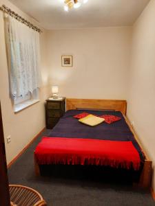 1 dormitorio con 1 cama con manta roja y ventana en DAGLEZJA en Kołczewo