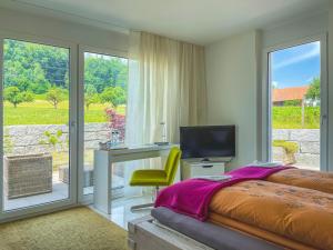 Μια τηλεόραση ή/και κέντρο ψυχαγωγίας στο Belair Beinwil - B&B