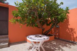 Fotografie z fotogalerie ubytování Luisa S2 room B v destinaci Veli Lošinj