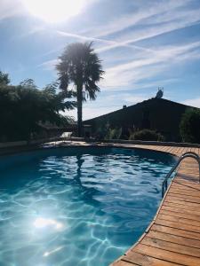uma grande piscina com uma palmeira ao fundo em Les Etoiles de Morphée em Auriac-sur-Vendinelle