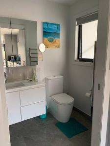 a bathroom with a toilet and a sink and a mirror at North Hobart, Tranquil Retreat, No Stairs, Access in New Town