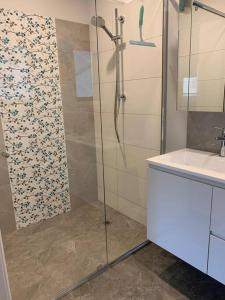 a bathroom with a shower and a sink at North Hobart, Tranquil Retreat, No Stairs, Access in New Town