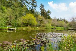 a pond with lilies and a bench in a park at Romantic, secluded cottage in Cardinham Woods, Cornwall in Cardinham