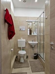 a bathroom with a toilet and a sink at Apartmani Tower in Rijeka +20 photos
