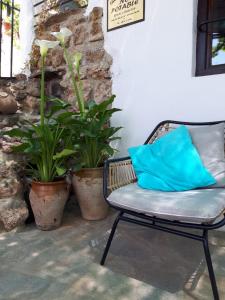 La Posada Amena في Carcabuey: مقعد عليه وسادة زرقاء بجانب النباتات