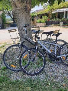 ゴルドにあるLa petite Galéjadeの木の隣に2台の自転車が停まっている