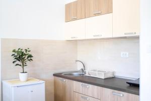 a kitchen with a sink and a potted plant at JTP Apartmani Ivanjica in Ivanjica