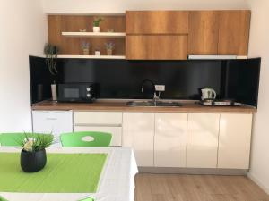 Photo de la galerie de l'établissement Apartment N & N, à Struga