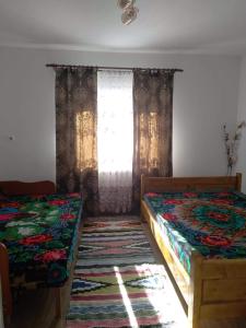 a bedroom with two beds and a window at Casa din Poiană in Hănăşeşti