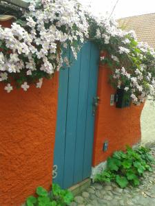 eine blaue Tür an einer orangefarbenen Wand mit Blumen in der Unterkunft Klosterhäuschen in Stralsund in Stralsund
