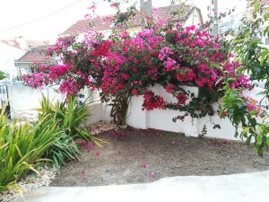 a bunch of pink flowers on a white wall at Casa do Cristo Rei in Almada