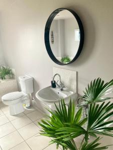 a bathroom with a white toilet and a mirror at Luxury, Holiday Home in Orphir overlooking Hoy Hls in Orphir