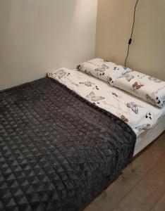 a bed with two pillows on top of it at Apartament Góry Bardzkie in Bardo