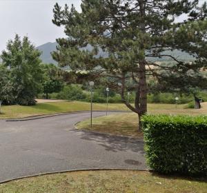 een kronkelende weg in een park met een boom bij L'ESCALE DETENTE EN VERCORS in Saint-Jean-en-Royans