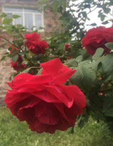 Fotografie z fotogalerie ubytování Bed and Breakfast John and Lena v destinaci Tatev