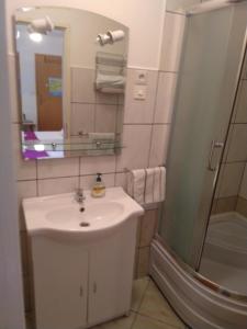 uma casa de banho com um lavatório e um chuveiro em DVOKREVETNA SOBA SA KUPAONICOM em Vodice