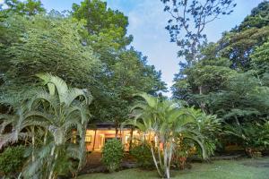 a house in the middle of a forest with trees at Three Bedroom Two Bath Villa on 20 Acres of Nature! "Hana's Celeste Retreat" in Bijagua