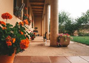 A garden outside Casa de Campo La Solana