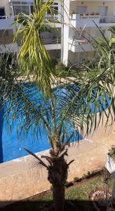 Basen w obiekcie Spacieux appartement dans une résidence avec piscine lub w pobliżu