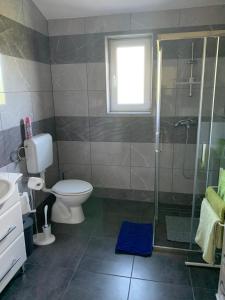 uma casa de banho com um WC e uma cabina de duche em vidro. em Pula Apartment E&E em Loborika