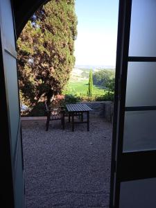 a picnic table and a bench in front of a tree at Agriturismo Il Principino in Vinci