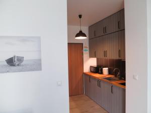 a kitchen with wooden cabinets and a sink at Studio Verdemar Nexo in Puck