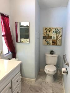 a bathroom with a white toilet and a mirror at Hidden Gem 2 bed 2 bath private mobile home with great parking in Fernley