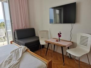 TV a/nebo společenská místnost v ubytování Apartments Žara