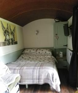 um quarto com uma cama e uma televisão em Durham Donkey Rescue Shepherd's Hut em Durham