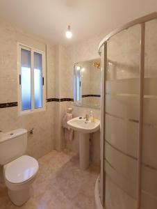uma casa de banho com um WC, um lavatório e um chuveiro em casa familiar La Lunara em Cáceres