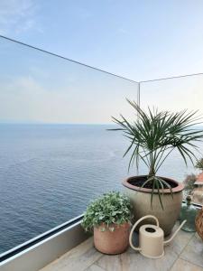 una pianta in vaso su un balcone con vista sull'oceano di Mare è rocca a Bonifacio