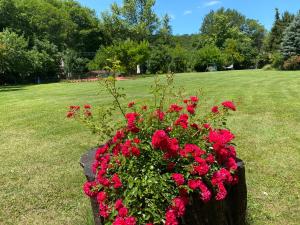 a flower box with red flowers in a field at Sarikonaklar Garden Village in Şile