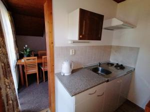 a small kitchen with a sink and a table at Apartmány 670 pod Lysou horou in Rokytnice nad Jizerou