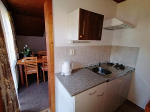 a small kitchen with a sink and a table at Apartmány 670 pod Lysou horou in Rokytnice nad Jizerou +25 photos