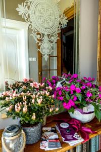 two vases of flowers on a table in front of a mirror at Le Clos d'Azel MAISON D'HOTES in Flexbourg