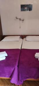 2 camas en una habitación con mantas moradas en DVOKREVETNA SOBA SA KUPAONICOM, en Vodice