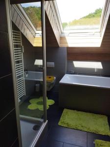 ein Bad mit einem WC, einem Waschbecken und einem Fenster in der Unterkunft Aussergewöhnliche Atelierferienwohnung mit Balkon an der Donau in Winzer