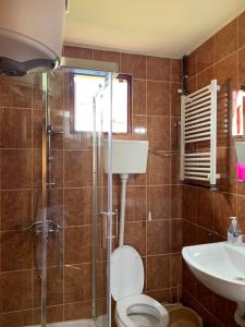 a bathroom with a toilet and a sink and a shower at Žabljak Getaway Rental in Žabljak +8 photos