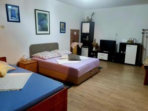 Μια τηλεόραση ή/και κέντρο ψυχαγωγίας στο Apartments Varga