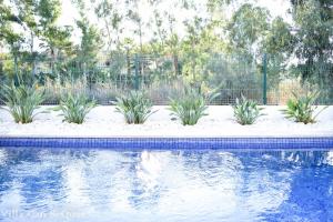 The swimming pool at or close to Villa Can SeQuet (Playa de Muro)