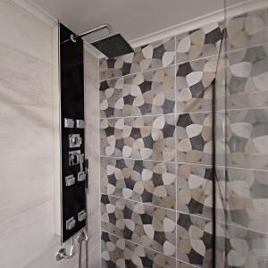 a shower with a glass door in a bathroom at Ponti Bay Apartments in Vasiliki