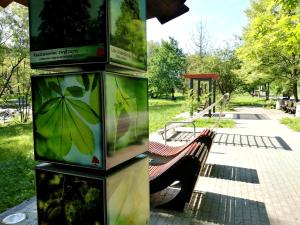 Vonkajšia záhrada v ubytovaní Harmonia Apartamenty Ustroń