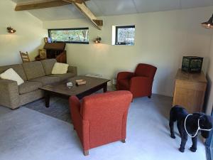 a living room with a dog standing in the middle at Natuurlijk leuk in Sterksel