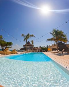 בריכת השחייה שנמצאת ב-Quinta del Mar Crystal Beach או באזור