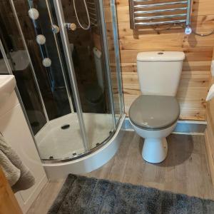 a bathroom with a toilet and a shower at Peaceful Cabin Retreat in Skegby in Sutton in Ashfield