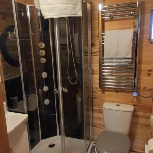 a small bathroom with a toilet and a shower at Peaceful Cabin Retreat in Skegby in Sutton in Ashfield